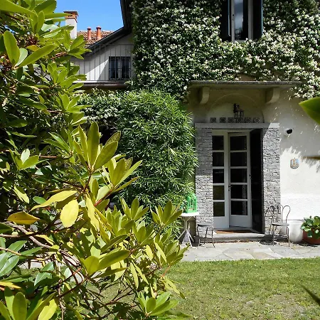 Rododendro Di