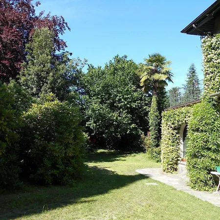 Rododendro Di